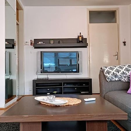 Spacious Condo Near Bascarsija - Free Parking 塞拉耶佛 外观 照片